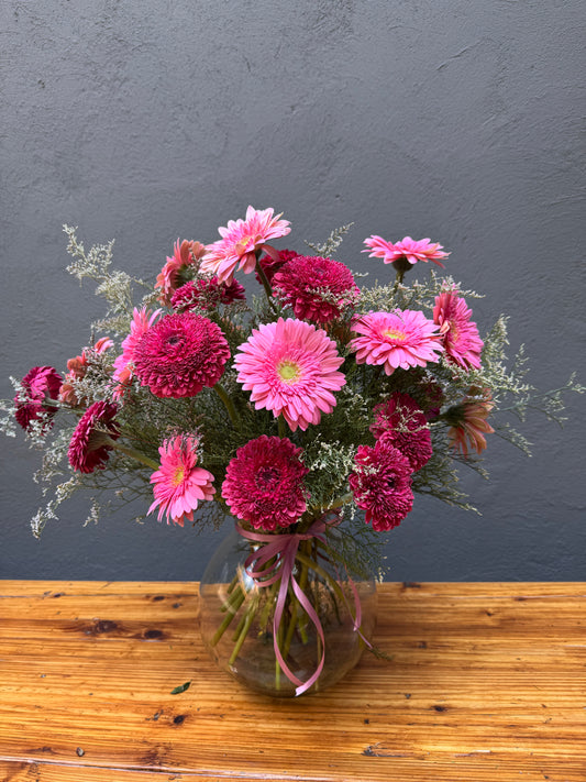 Jardín Gerbera