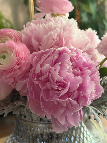 Peonias importadas de Holanda