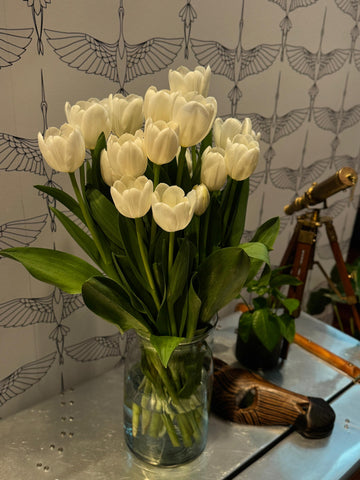 Tulip