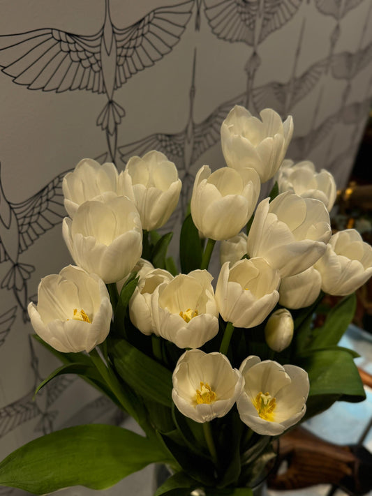 Tulip